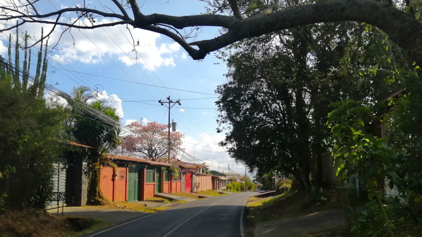 Road on costa rica with trees at one side