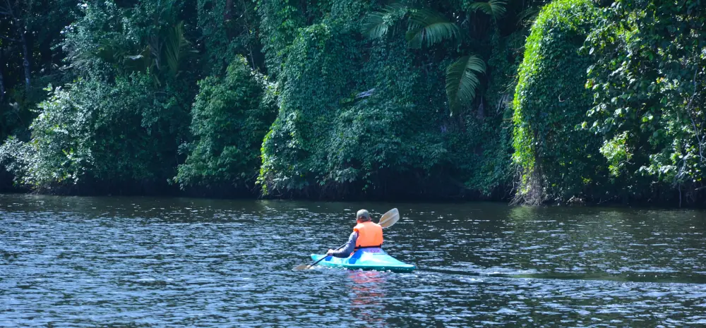 guy kayaking in tortuguero lake, costa rica