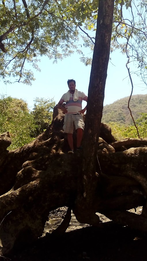 men standing next to tree roots